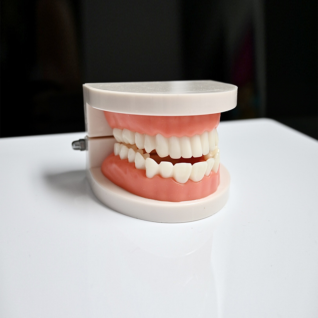 Teeth Gem And Whitening Practice Teeth